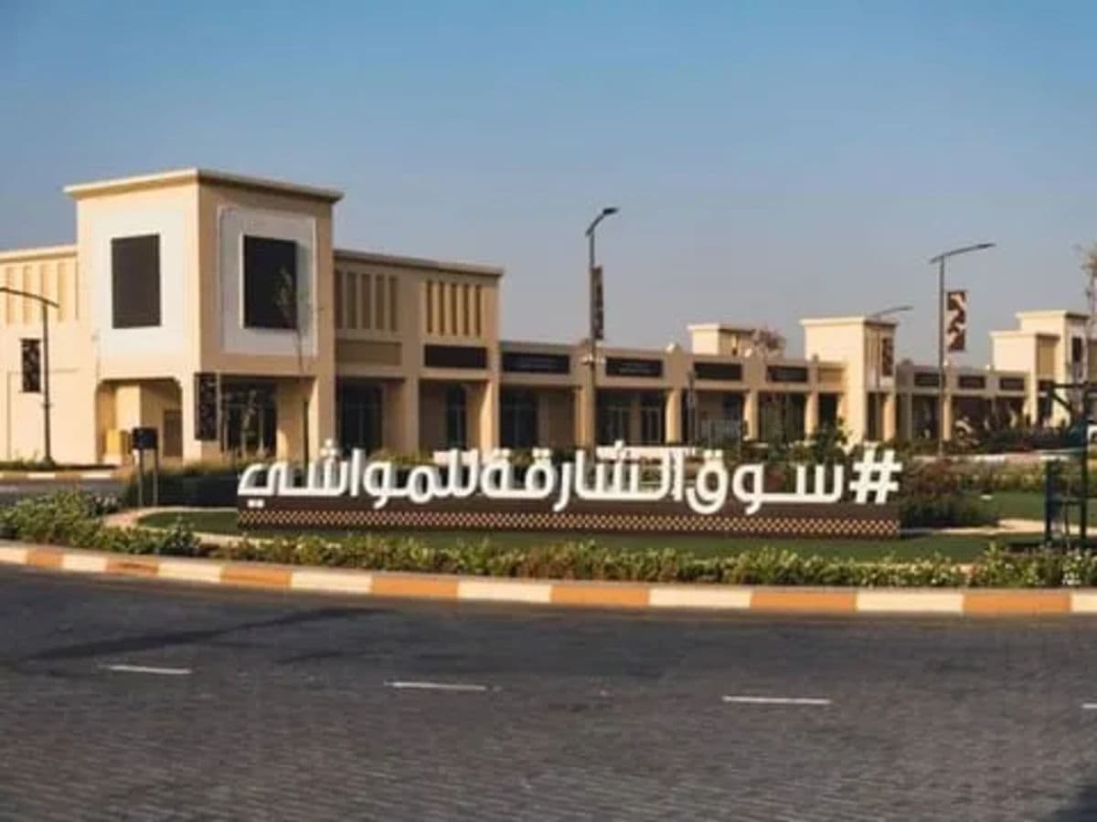 Screenshot of Government Slaughterhouse Management System – Sharjah & Abu Dhabi — Modernized a legacy government-deployed system across two UAE municipalities, en